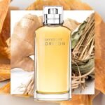 ⁦عطر هورايزون من دافيدوف للرجال - او دو تواليت⁩ - الصورة ⁦2⁩