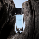 ⁦عطر تتش من بربري للرجال - او دو تواليت⁩ - الصورة ⁦2⁩
